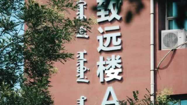 我想你啊我的青葱岁月,我的大学生活