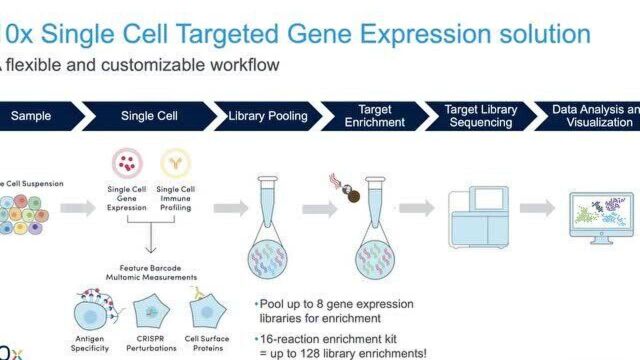 第七课10x Genomics单细胞靶向基因表达