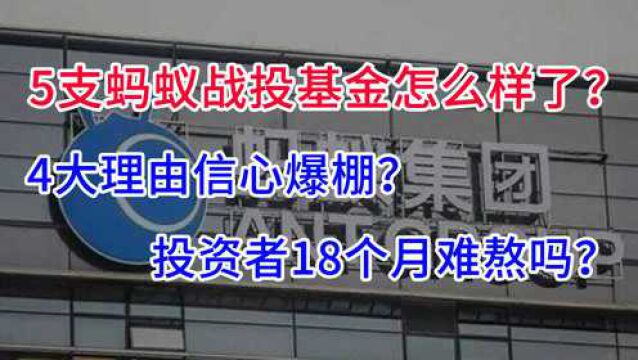 5支蚂蚁战投基金怎么样了?投资者丝毫不慌?4大理由变得有信心!