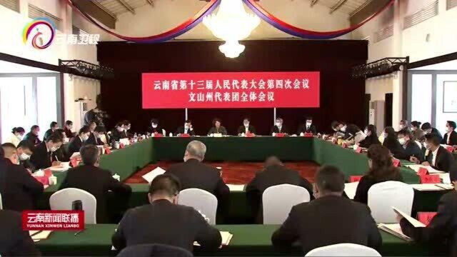 李江参加文山州代表团审议审查会