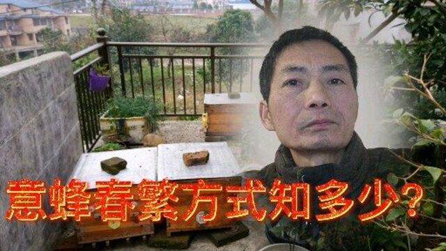 蜜蜂养殖,意蜂春繁方式知多少?养蜂老师傅不愿轻易对外说(上)