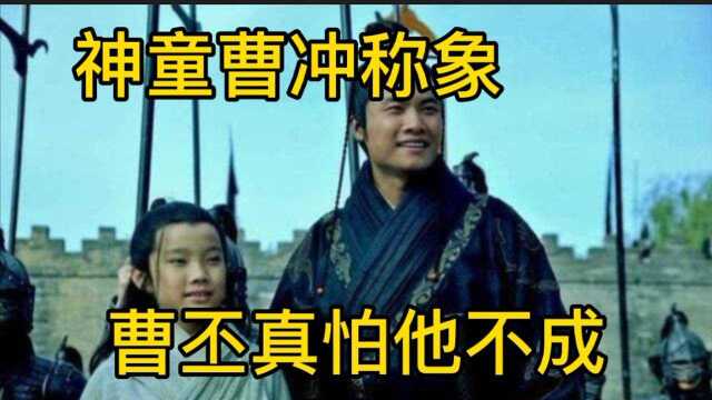 正史讲三国解密神童曹冲,是否与曹丕有关系,为何曹操那么喜欢他