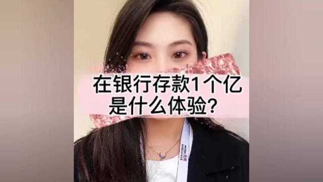 体验银行存款一个亿