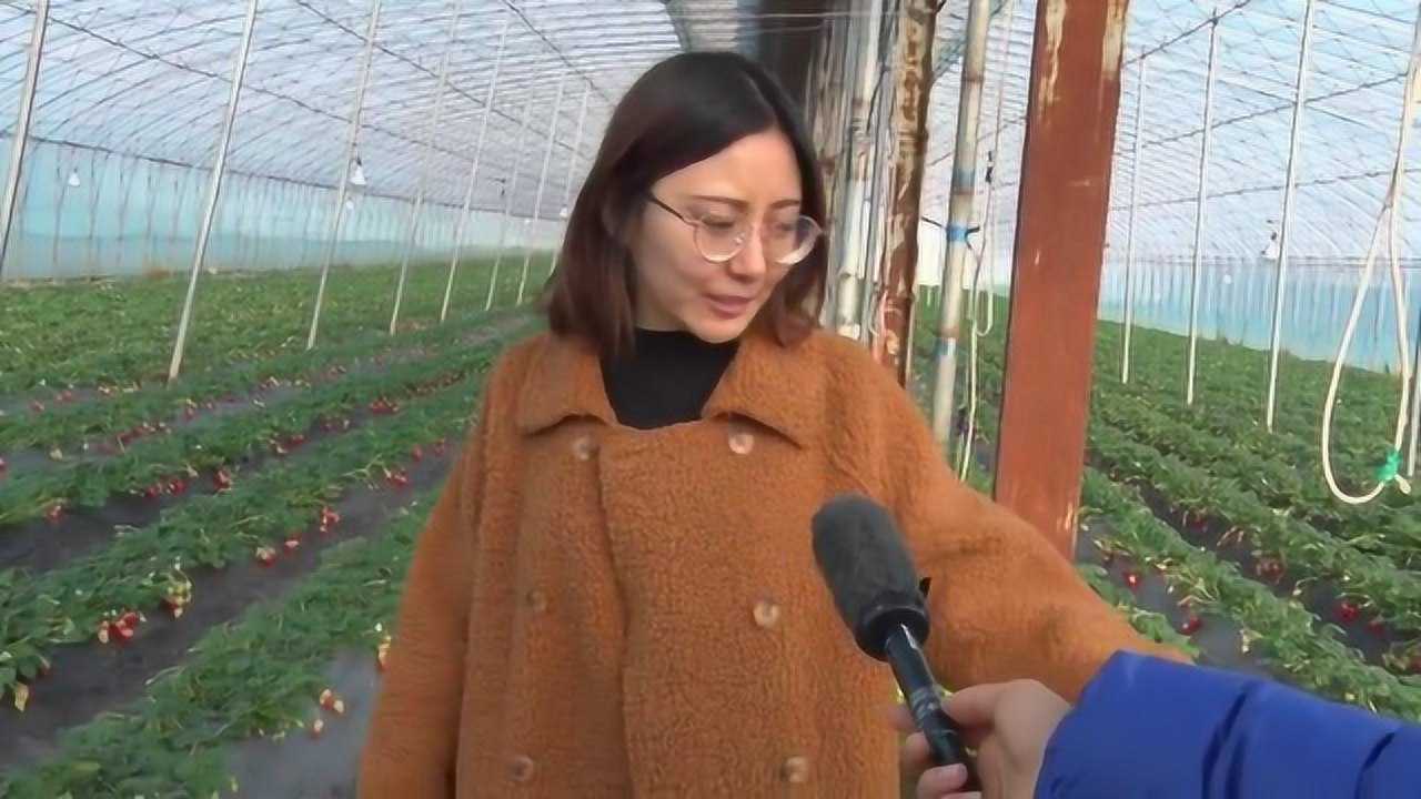 刘笑宏 刘笑宏