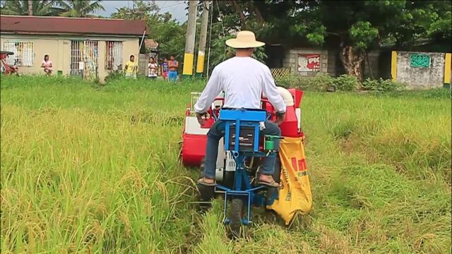 日本发明小型水稻收割机,一天能收割20亩地水稻,3500元造一台