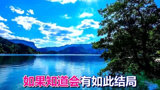 情歌《无情的你无情的雨》