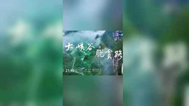 新闻调查 | 看四川省国家级贫困县如何打赢“脱贫”硬仗?