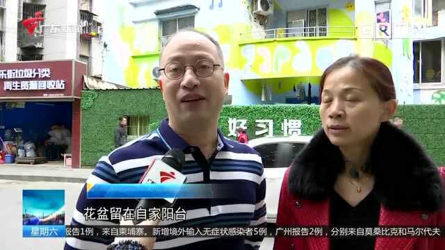 广州:元宵过后 废弃年花年桔进入回收高峰