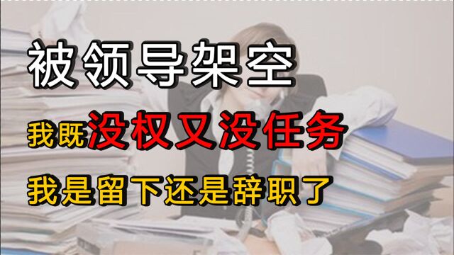 被领导架空,我既没权又没任务,我是留下还是辞职了?