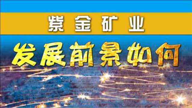 紫金矿业,有色龙头企业,增长点在哪?