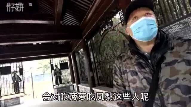 北京老哥说台湾凤梨,为何还挨骂?一语道出百姓声痛快!