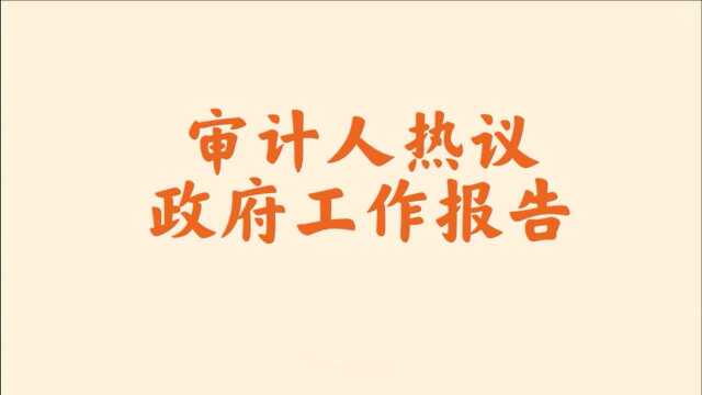 审计人热议政府工作报告审计署成都办林笑冬