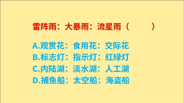 公务员考试,雷阵雨、大暴雨、流星雨,词语关系推理