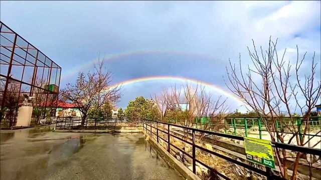 俄罗斯动物园出现双彩虹!罕见的一幕让人忍不住赞叹