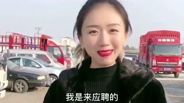 美女应聘工作被考英语,略施小计后谁知主管也不傻,尴尬!