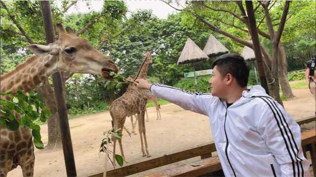 广州你雨总