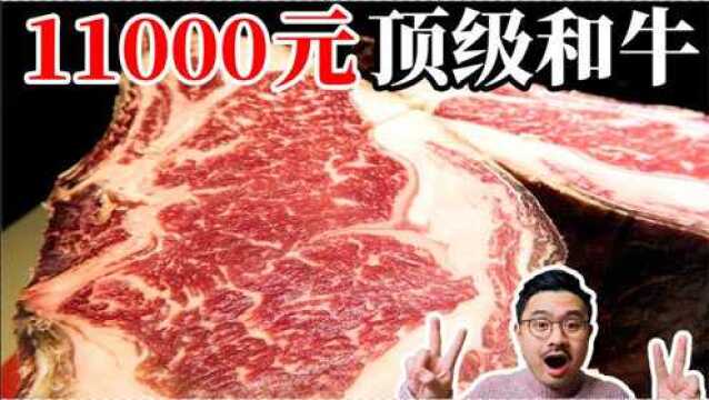 11000元一块的顶级和牛!熟成50天,到底有多好吃?