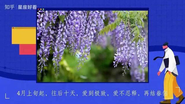 4月上旬起,往后十天,爱到极致,爱不忍释,再结眷侣,旧爱相逢