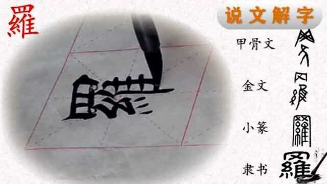 田楷“心经”罗字书法,“罗”字说解(6)——写好汉字一笔一画,读懂汉字前世今生.