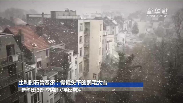 比利时布鲁塞尔:慢镜头下的鹅毛大雪