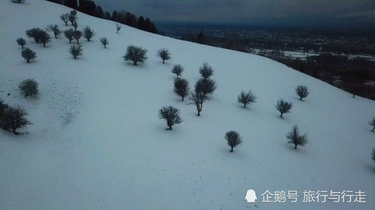 夏日里雪后的那拉提草原