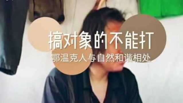 东北“鄂温克人” 的野外狩猎法则