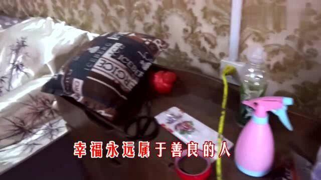 农家小院布置的喜庆