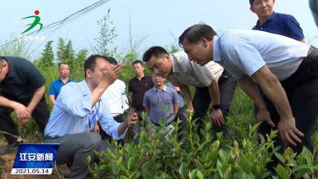 省人大来江调研国有自然资源资产专项报告工作