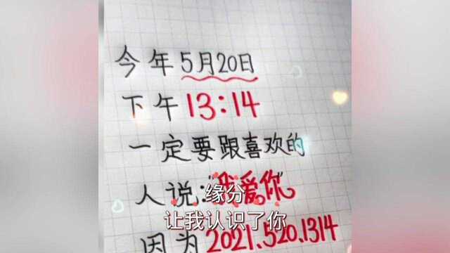 5201314我爱你一生一世