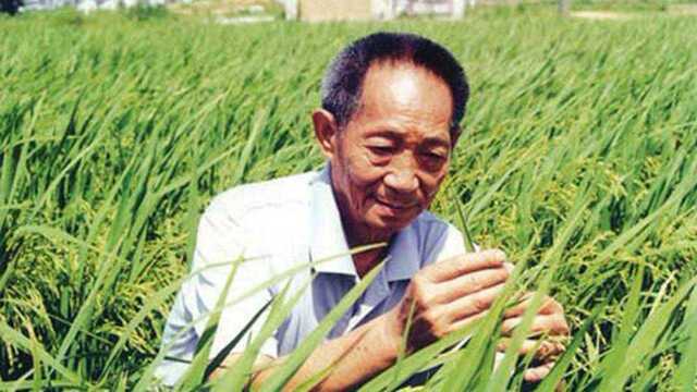 记住这位让中国人“端牢饭碗”的英雄.送别袁老!