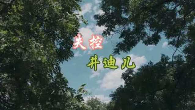 年度最火歌曲《失控》井迪儿