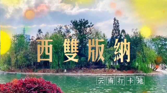 云南打卡地西双版纳