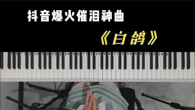 抖音爆火歌曲《白鸽》扎心的歌词,让人忍不住流泪!