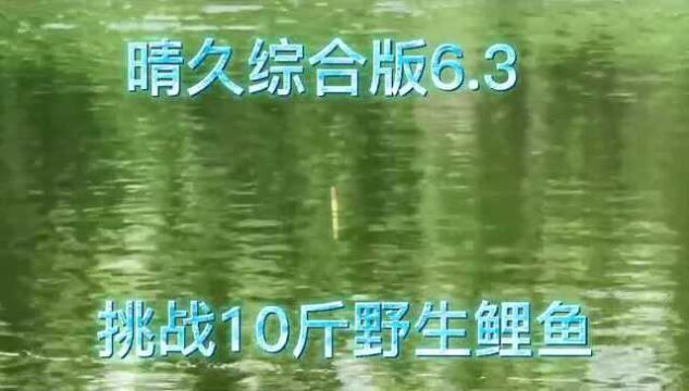 挑战10斤野生鲤鱼,晴久综合6.3米鱼竿钓友反馈