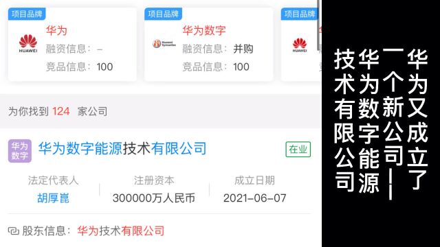 华为新成立一个数字能源技术有限公司