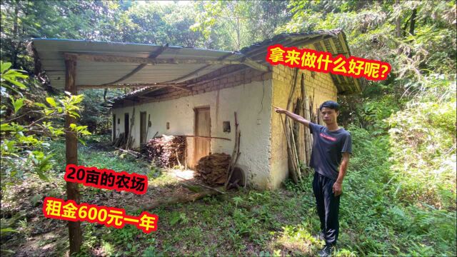 20亩的山场,一年租金才600元,还送一栋这么漂亮的房子