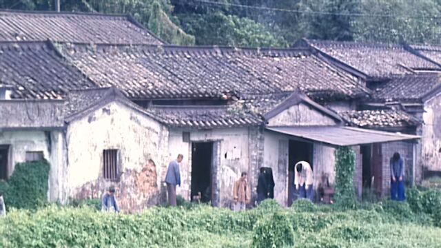 香港第一恐怖片《山村老尸》,冤魂为了复仇,3天屠杀全村66口人