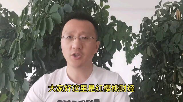 3560点会成为这波反弹终点吗?哪些黑马板块值得股民注意?为什么