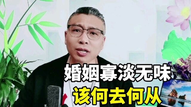 寡淡无味的婚姻该如何继续