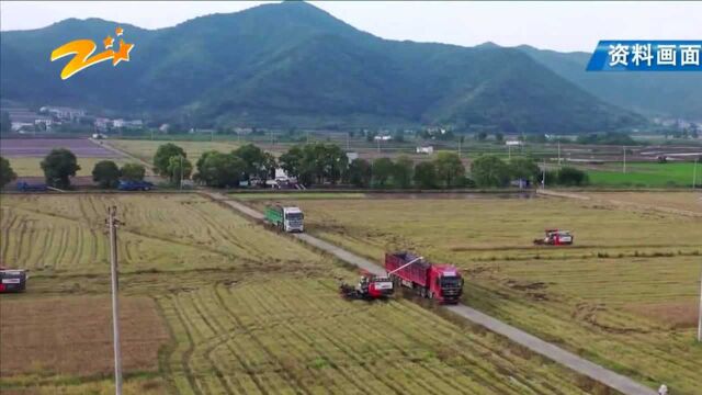 《浙江省农业农村现代化“十四五”规划》发布 乡村共同富裕先行先试