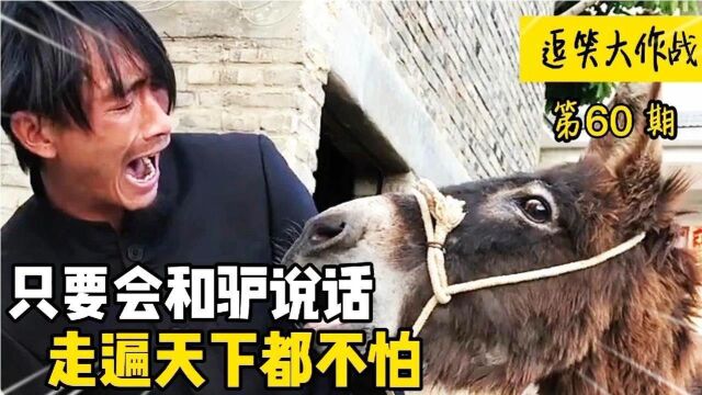 搞笑合集:他究竟对驴说了什么?让驴这么高兴?