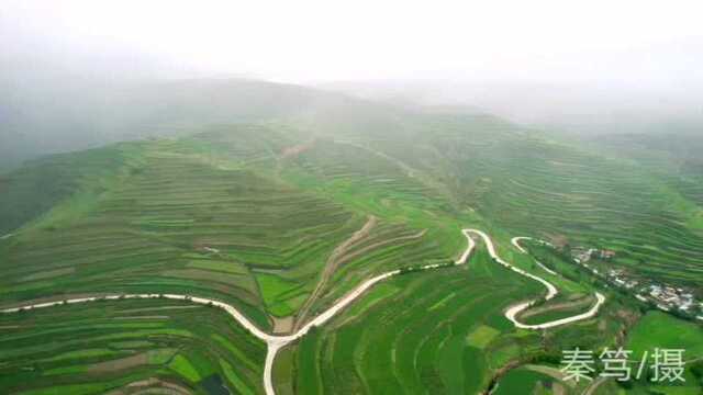 陇南市宕昌县拉路梁中药材种植基地富民脱贫,这里风光秀丽,使人目不暇接./秦笃:报道