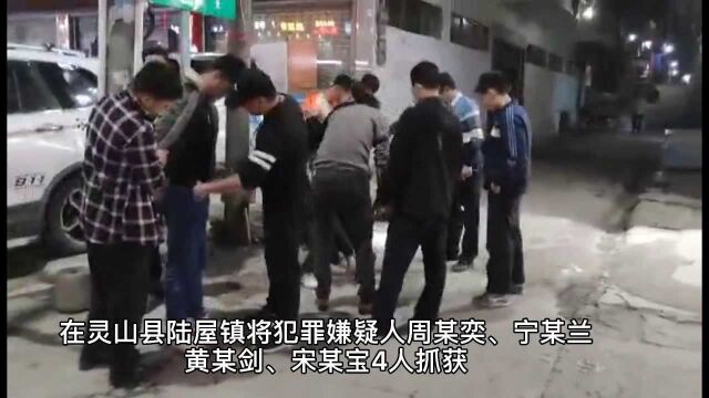 毒狗偷狗2000余条,钦北警方摧毁一个“毒狗盗狗贩狗”链条