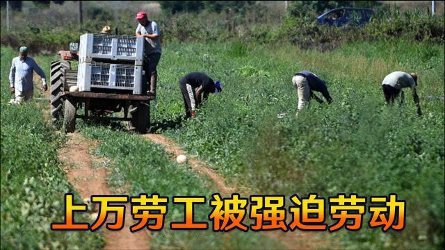 西方强迫劳动恶行曝光,上万劳工“做牛做马”,超40万人被剥削