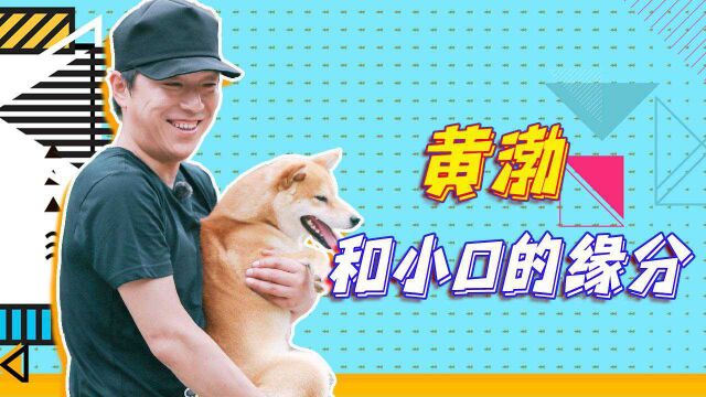 黄渤和柴犬小O久别重逢,原来他和它缘分真的不浅!