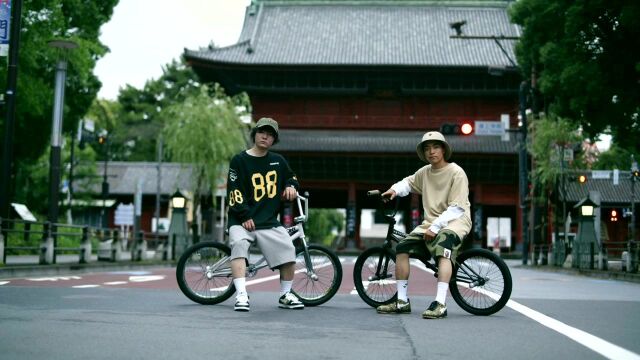 BAPE SHOES COLLECTIONBMXFLATLAND 30sec