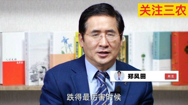 郑风田教授:要让种粮农民有收益,不能让种地农民吃亏