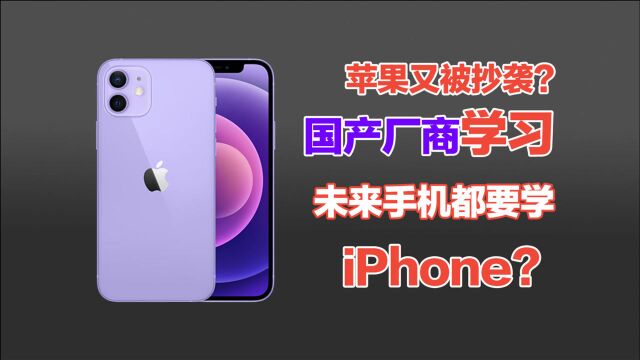 苹果又被抄袭?国产手机跟进设计,未来手机都要学iPhone?