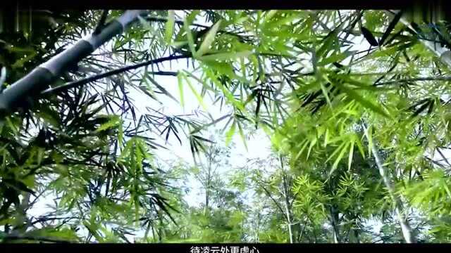 湖南电台首席主持人国生:悠然待万物,麓隐青竹湖