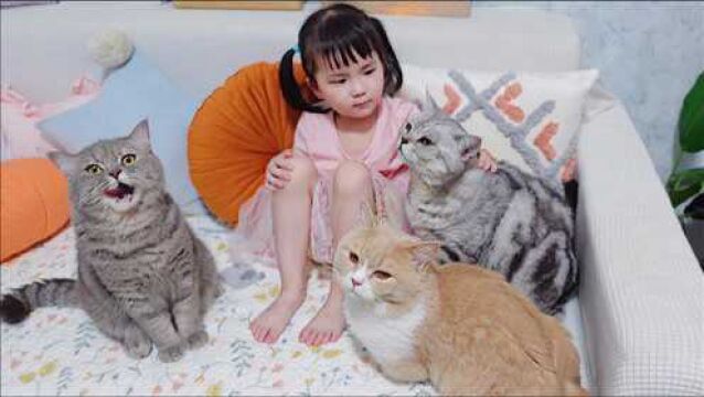 4岁小孩跟猫一起生活久了,逐渐猫化!